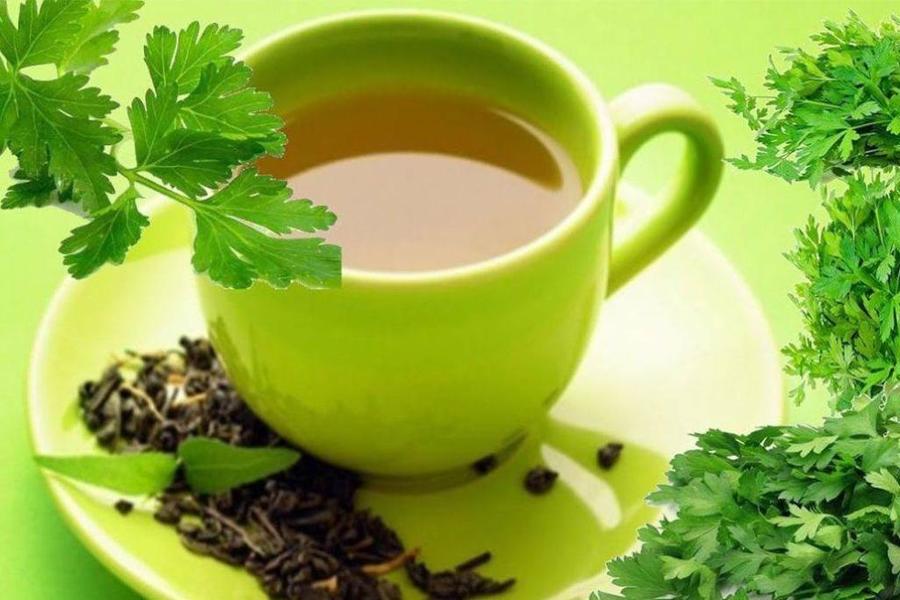 فوائد البقدونس على المسالك البولية