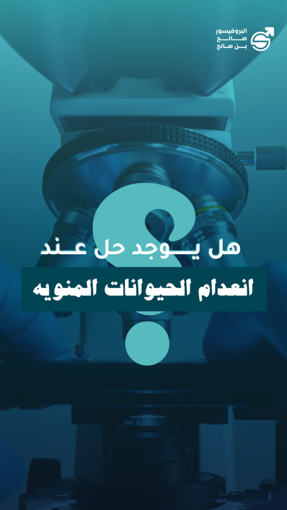 المسح المجهري للخصية