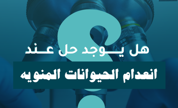 المسح المجهري للخصية